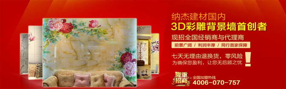 纳杰背景墙 形象图