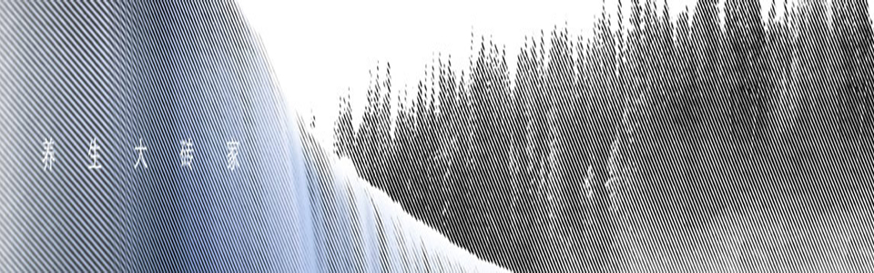 班玞养生砖形象图