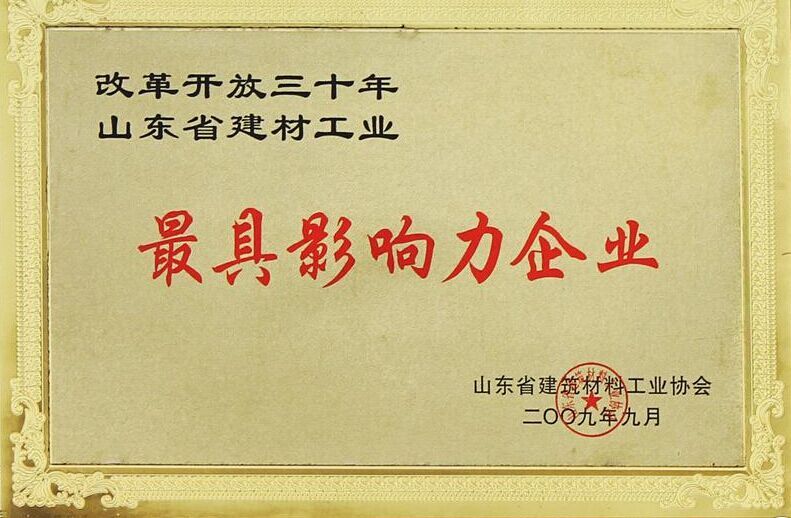 最具影响力企业