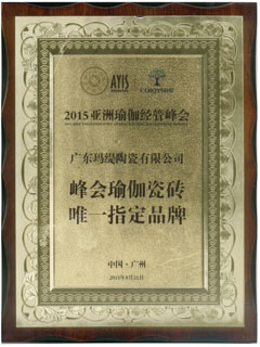 峰会瑜伽瓷砖唯一指定品牌