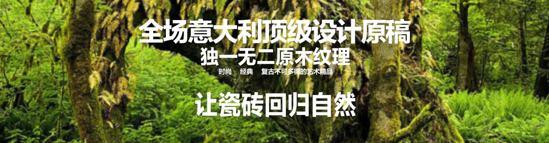 東和原木瓷砖 形象图