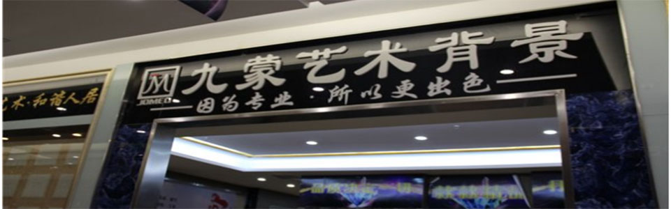 九蒙艺术背景墙 形象图