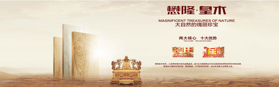 懋隆瓷砖形象图