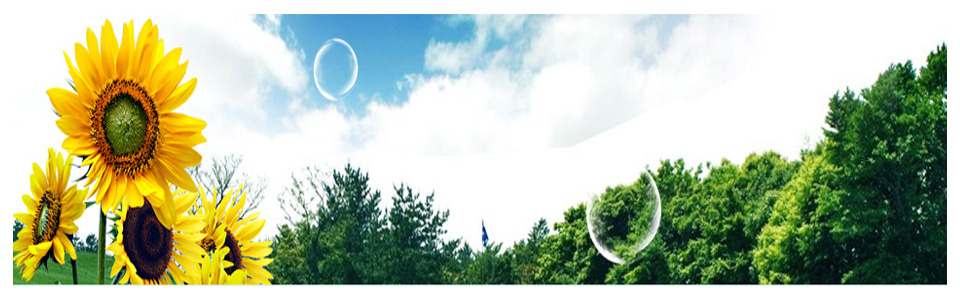 爱帝马赛克形象图