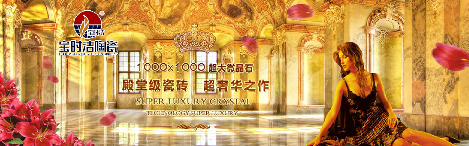 宝时洁陶瓷形象图