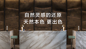 西班牙德赛斯岩板